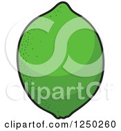 Clipart Of A Green Lime Royalty Free Vector Illustration