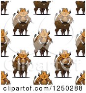 Poster, Art Print Of Seamless Background Pattern Of Razorback Boars