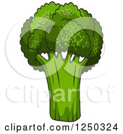 Clipart Of Green Broccoli Royalty Free Vector Illustration