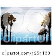 Poster, Art Print Of Silhouetted Palm Trees And Grass Over Blue Sky With Flares