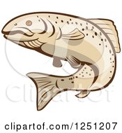 Poster, Art Print Of Rainbow Trout Fish