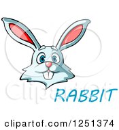 Poster, Art Print Of White Bunny With Rabbit Text