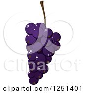 Clipart Of A Bunch Of Purple Grapes Royalty Free Vector Illustration