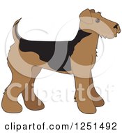 Cute Airedale Terrier Puppy Dog In Profile