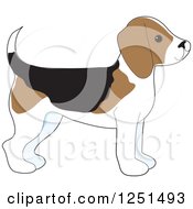 Cute Beagle Puppy Dog In Profile