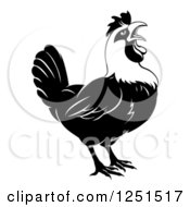 Poster, Art Print Of Black And White Crowing Rooster