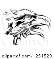 Black And White Eagle Head In Profile
