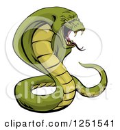 Clipart Of An Aggressive Green Cobra Snake Ready To Strike Royalty Free Vector Illustration