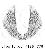 Poster, Art Print Of Black And White Spread Feathered Angel Wings