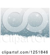 Poster, Art Print Of Snow Background And Evergreens