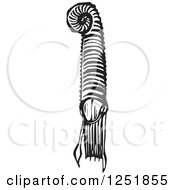 Clipart Of A Black And White Woodcut Ammonite Squid Fossil Royalty Free Vector Illustration
