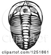 Clipart Of A Black And White Woodcut Trilobite Fossil Royalty Free Vector Illustration by xunantunich