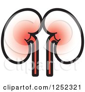Clipart Of Kidneys Royalty Free Vector Illustration