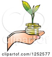 Hand Holding A Stack Of Gold Coins And A Seedling