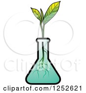 Poster, Art Print Of Tea Plant In A Beaker