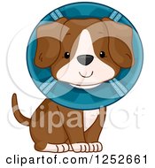 Poster, Art Print Of Cute Puppy Dog Wearing A Cone