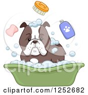 Poster, Art Print Of Bulldog And Bath Accessories