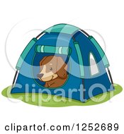 Poster, Art Print Of Cute Dog Resting In A Tent