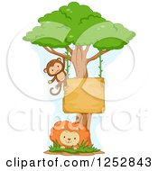Poster, Art Print Of Monkey Swinging From A Sign On A Tree Over A Lion