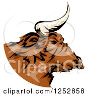 Poster, Art Print Of Brown Bull In Profile