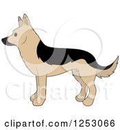 Cute Alsatian German Shepherd Dog In Profile