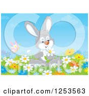 Clipart Of A Rabbit Picking Flowers In A Meadow Royalty Free Illustration
