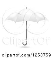 Poster, Art Print Of 3d White Umbrella And Shadow