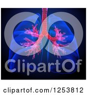 Clipart Of 3d Human Lungs And Visible Bronchi Over Black Royalty Free Illustration