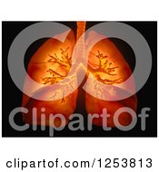 3d Human Lungs And Visible Bronchi Over Black
