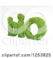 Poster, Art Print Of 3d Leafy Bio Text On White