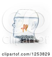 3d Goldfish In A Human Head Bowl