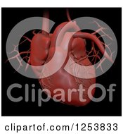 Clipart Of A 3d Human Heart Over Black Royalty Free Illustration