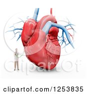 Clipart Of A 3d Tiny Male Doctor And Giant Human Heart Royalty Free Illustration