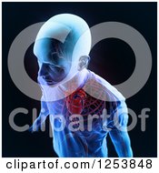 Clipart Of A 3d Xray Man With A Visible Circulatory System On Black Royalty Free Illustration by Mopic