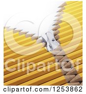 Poster, Art Print Of 3d Sharpener Zipper Through Yellow Pencils