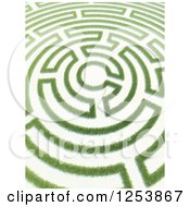 3d Copyright Symbol Grass Maze
