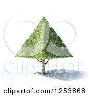 Poster, Art Print Of 3d Pyramid Tree And Shadow