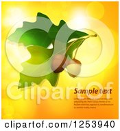 Clipart Of Acorns And Leaves Over Bokeh Flares With Sample Text Royalty Free Vector Illustration