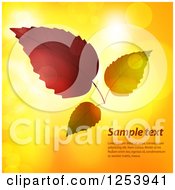 Poster, Art Print Of Autumn Leaves Over Flares With Sample Text