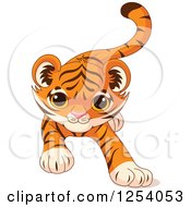 Poster, Art Print Of Cute Playful Tiger Cub Stalking