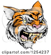 Poster, Art Print Of Roaring Angry Tiger Mascot Head