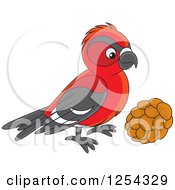 Poster, Art Print Of Red Crossbill Bird