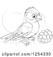 Poster, Art Print Of Black And White Red Crossbill Bird