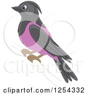 Poster, Art Print Of Purple Martin Bird