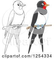 Clipart Of Perched Birds Royalty Free Vector Illustration
