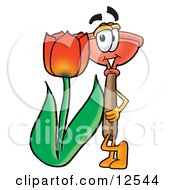 Poster, Art Print Of Sink Plunger Mascot Cartoon Character With A Red Tulip Flower In The Spring