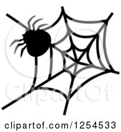 Poster, Art Print Of Black And White Spider And Web