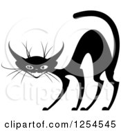 Clipart Of A Black And White Scared Cat Royalty Free Vector Illustration