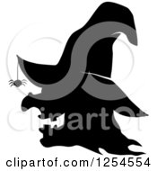 Clipart Of A Black And White Witch And Spider In Profile Royalty Free Vector Illustration