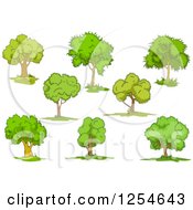 Clipart Of Green Trees Royalty Free Vector Illustration